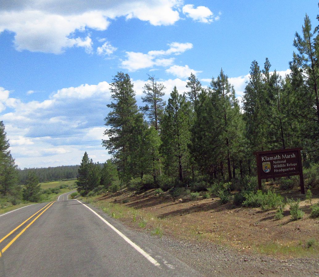 22-marsh.jpg