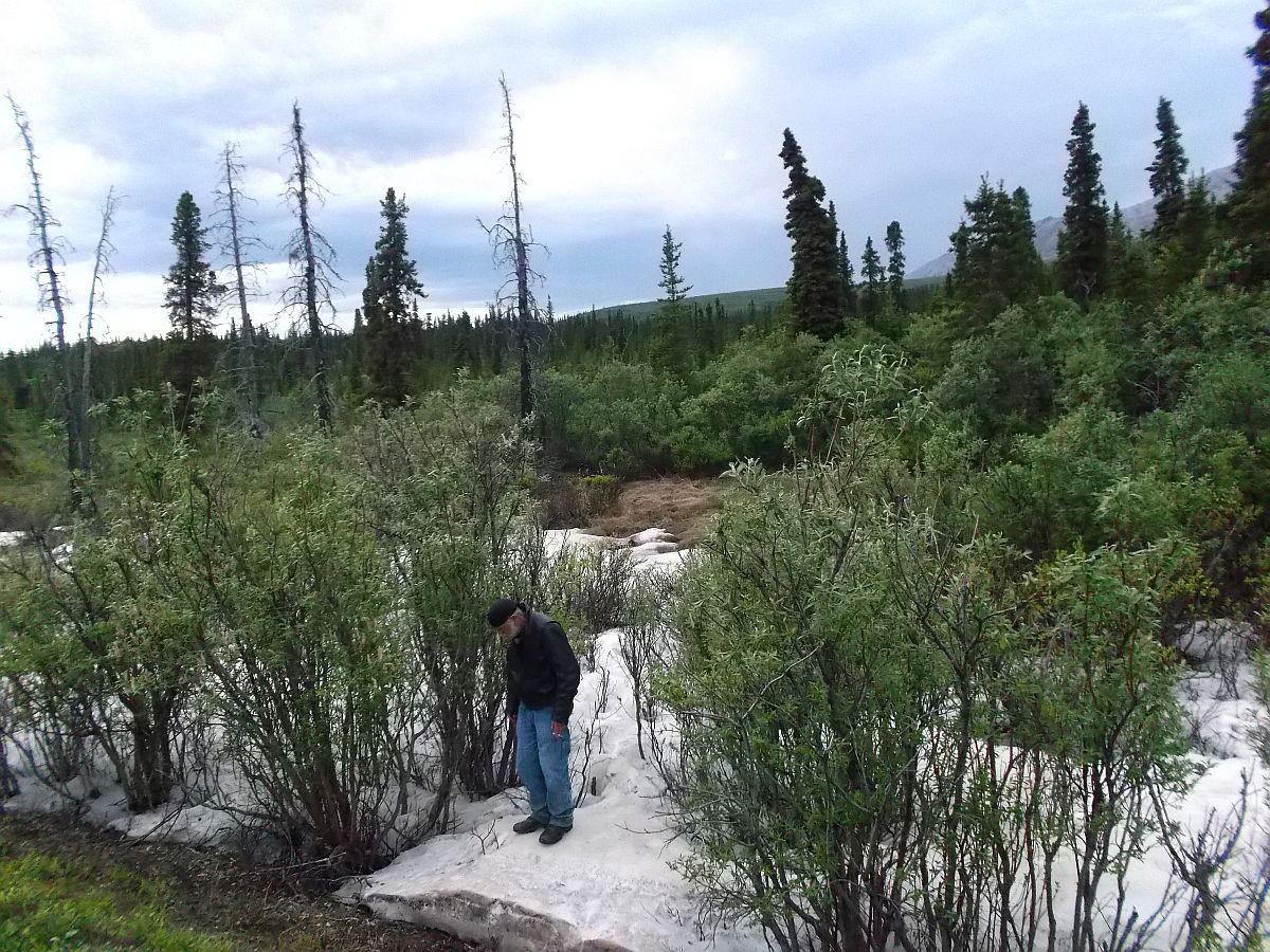 ToDenali14_zps711a11e0.jpg