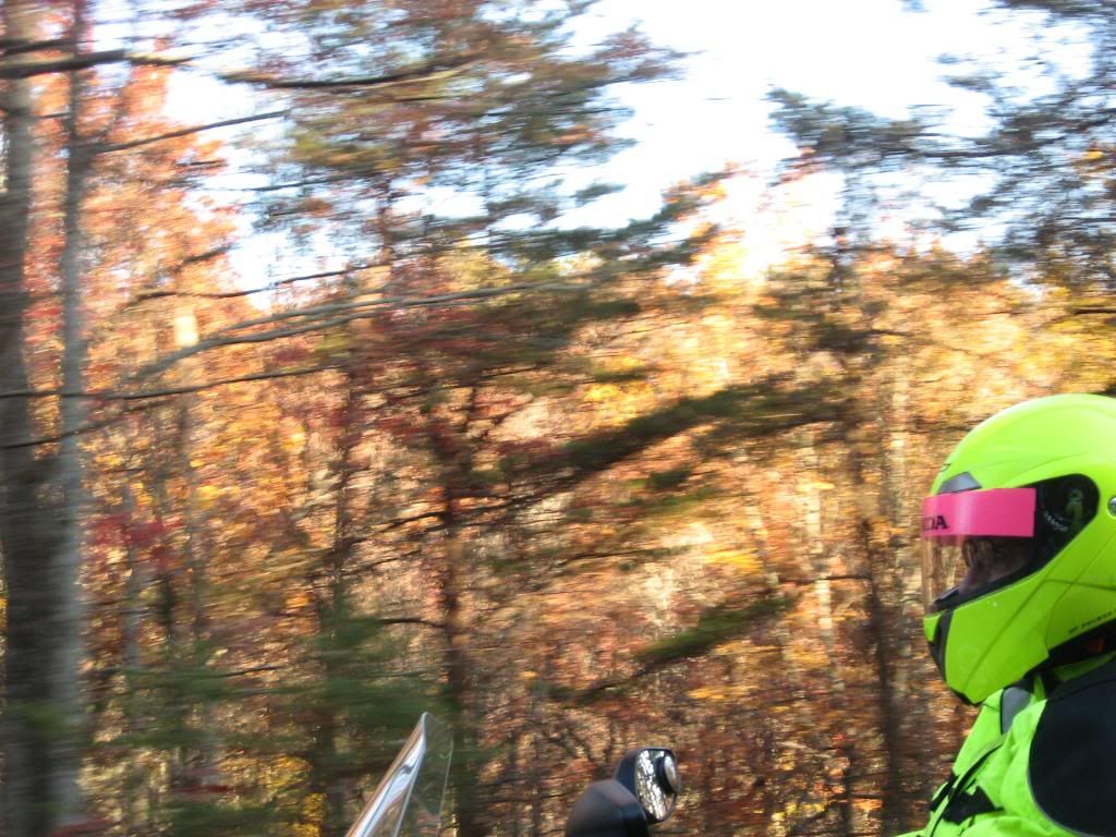 FALLSCOOTERRALLY20111054.jpg
