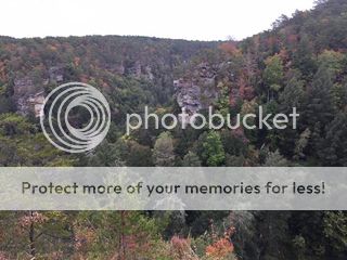 3ca5b32bf16097f446d6b98634b06ace.jpg