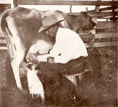 allen-palmer.jpg