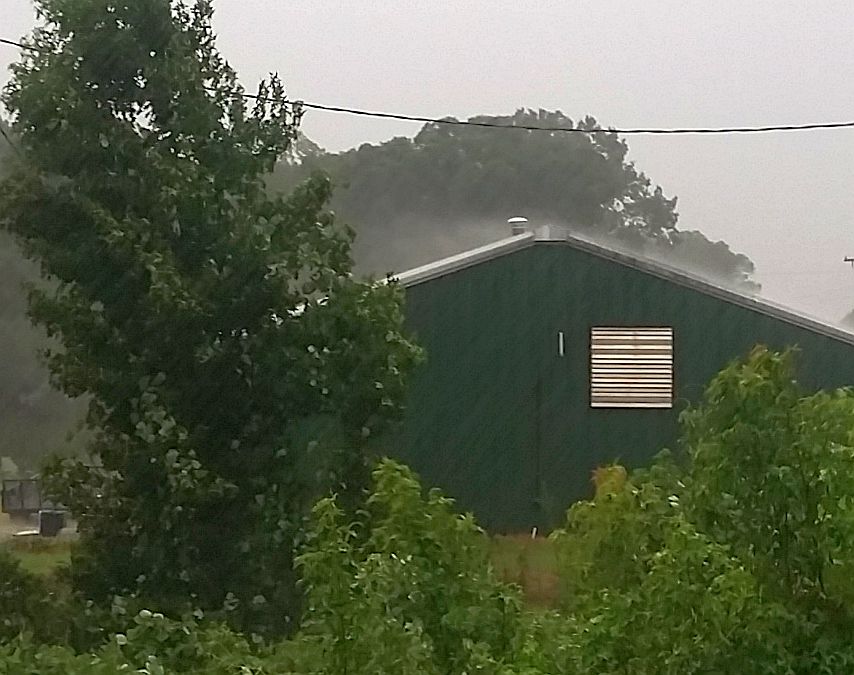 Rain%208-7-19%20b.jpg