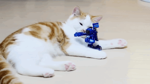 2db8c63ab12a588f37046bd42c0fe94a.gif