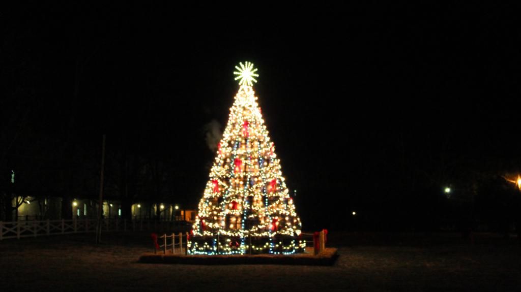 Lynchburg-n-BarrelTree005.jpg