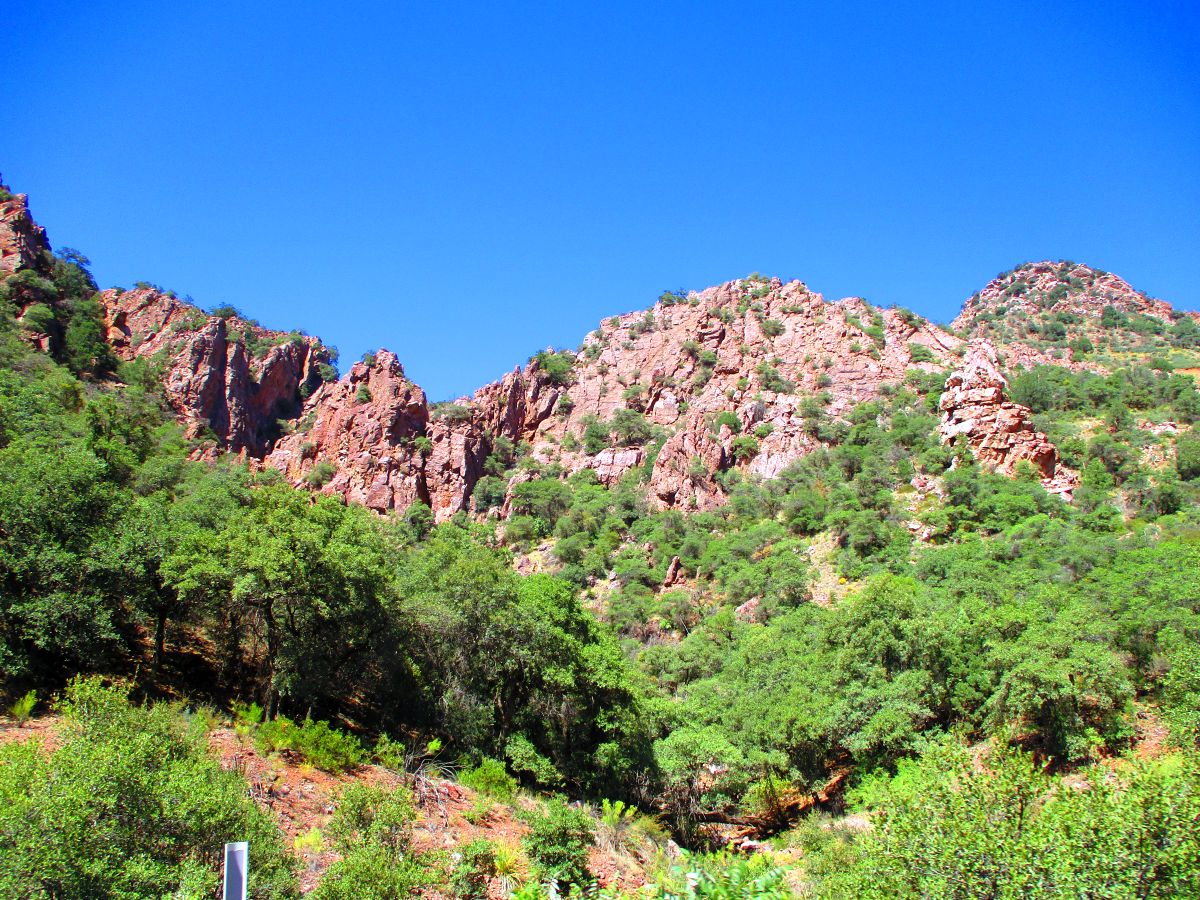 2-from%20the%20road.jpg