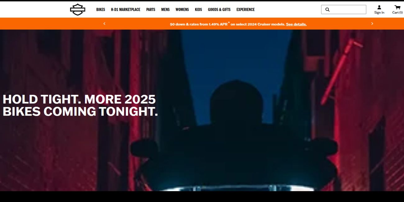 2025%20models.jpg