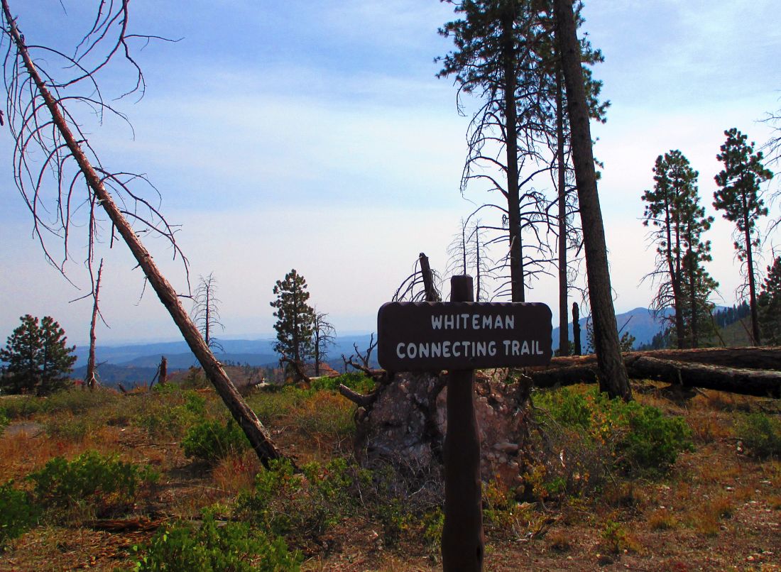 Whiteman%20Trail%202.jpg