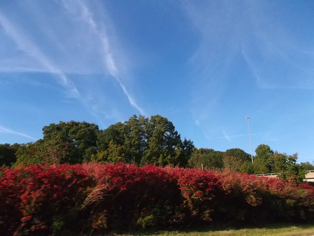 Color_zpsee83ace1.jpg