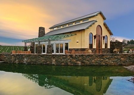 Bianchi_Vineyards.jpg