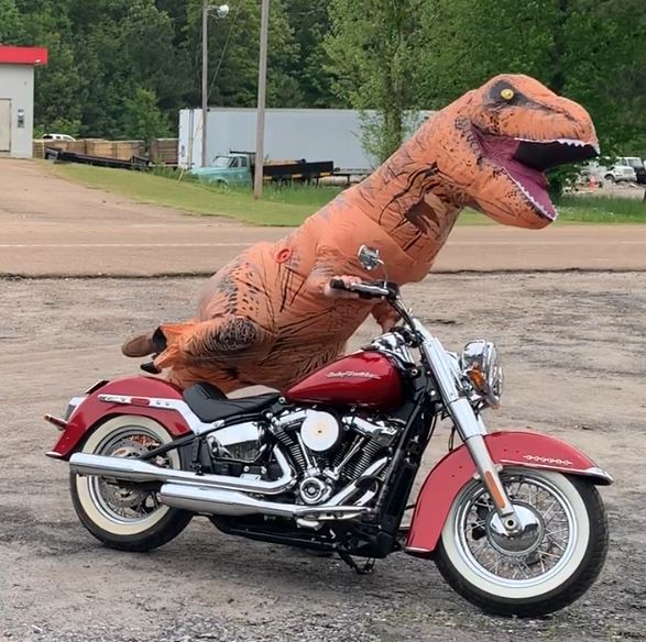 Trex%20Dwayne%20Deluxe.JPG