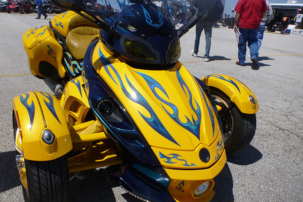 P1000723-M.jpg