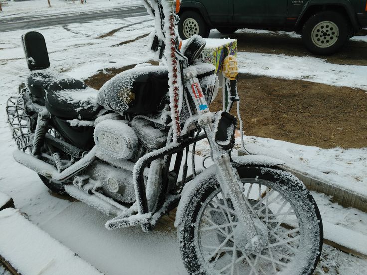 nobody%20hates%20winter.jpg