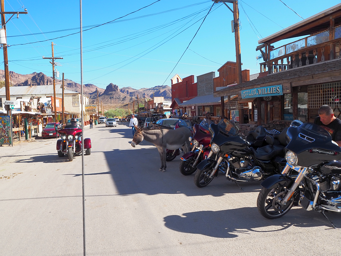 117-kurt%20and%20bikes.png