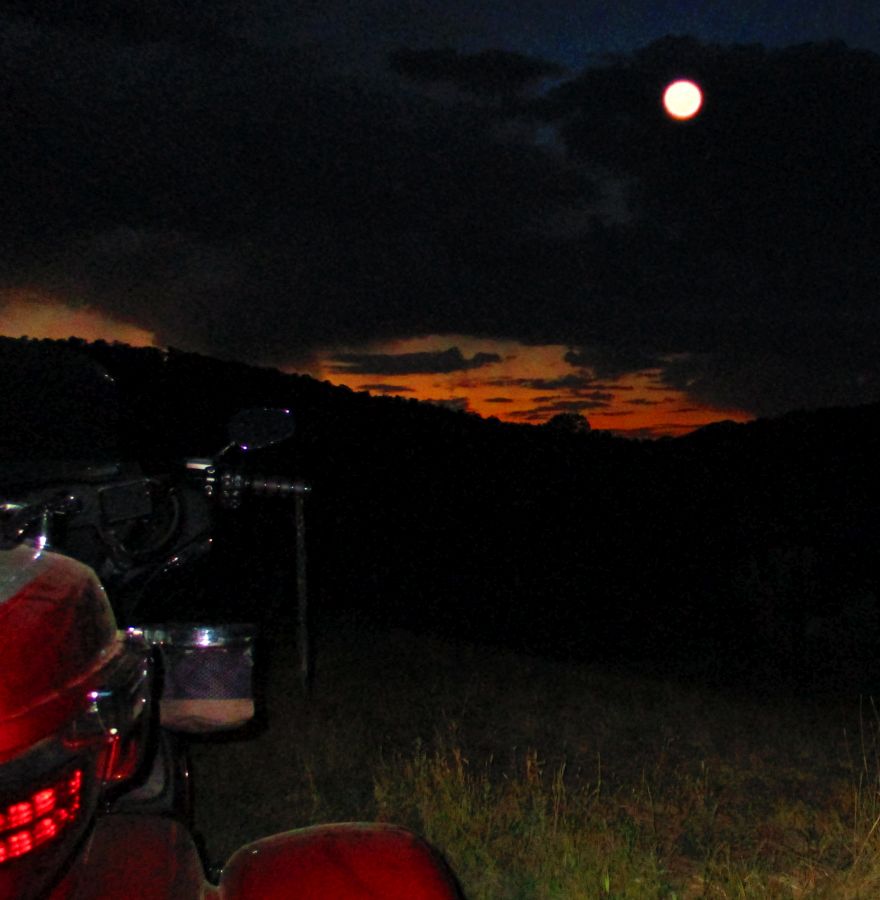 Moon%20Trike%20Dusty.jpg