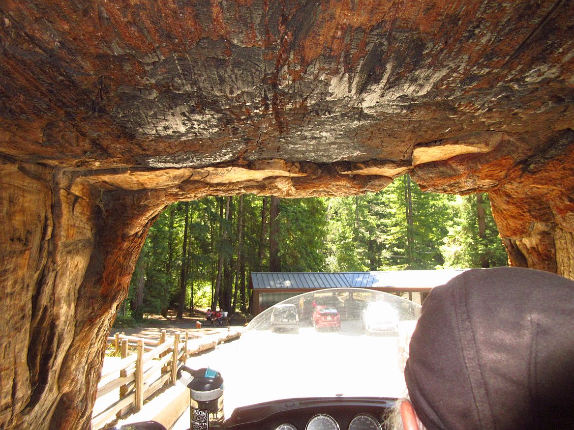 ct-15-inside.jpg