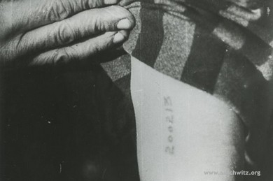 8126548_orig.jpg