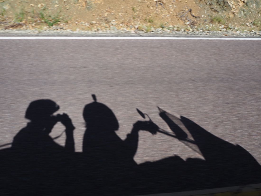 184-shadow.jpg