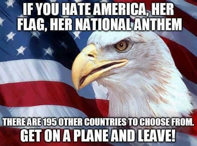 490457e9d7c53dddc63e7bfb1c201389.jpg