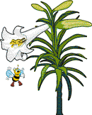 flower_007_w.gif
