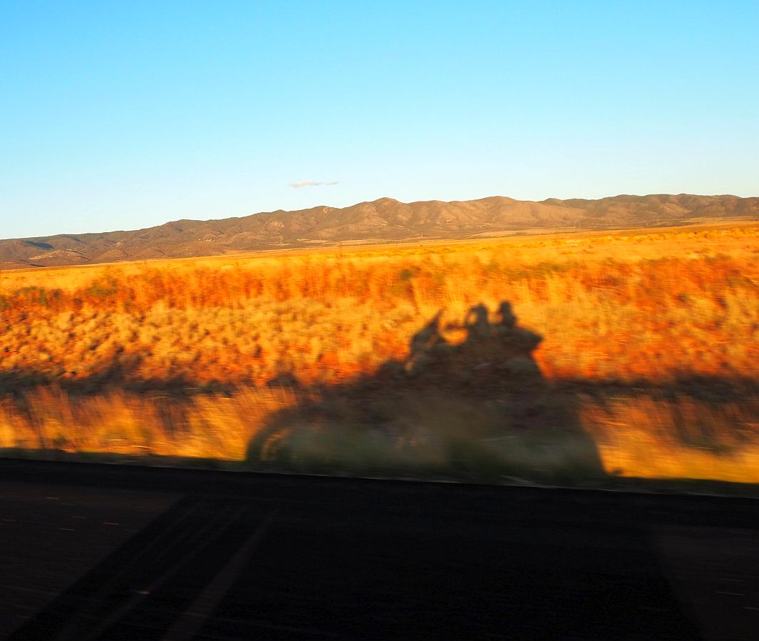 293%20Classic%20Shadow.jpg