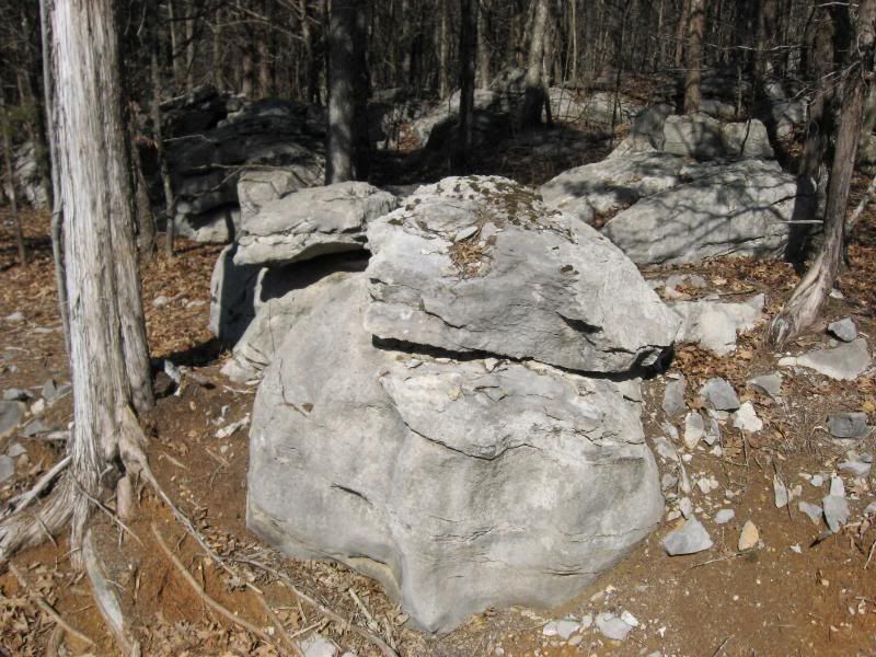 CrowMountain2-17.jpg
