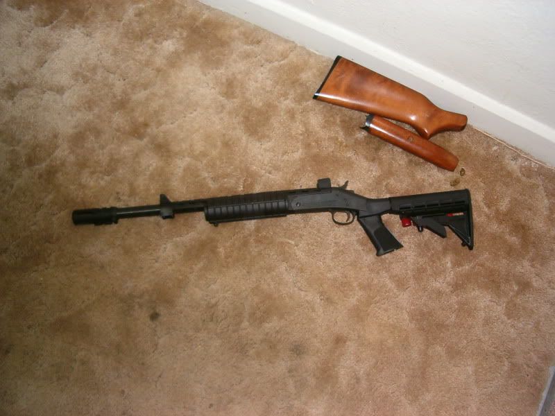 12ga002.jpg