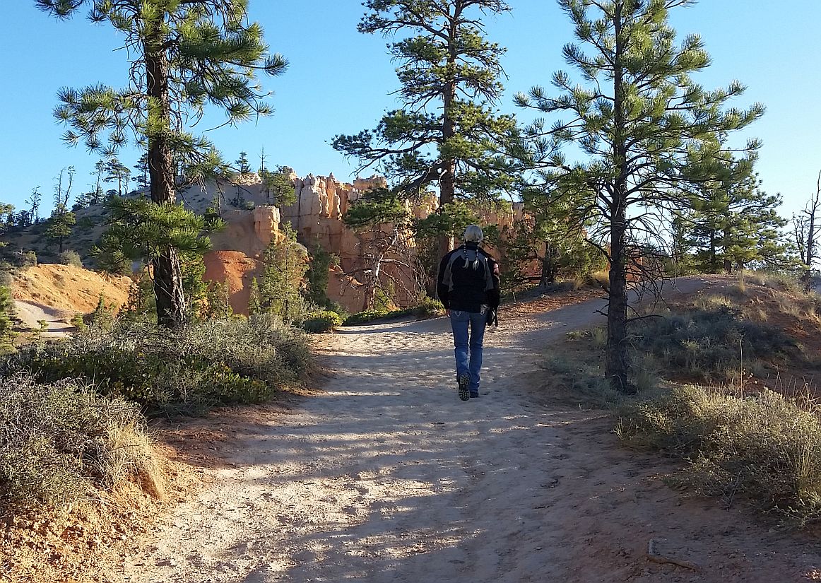 7-exploring.jpg