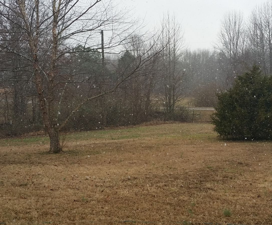 Snow%201-11-21.jpg