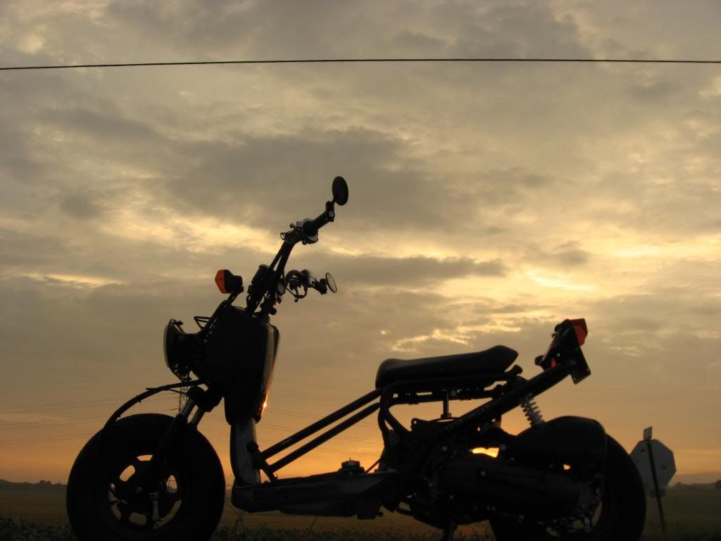 RUCKUSBOBBER-12.jpg