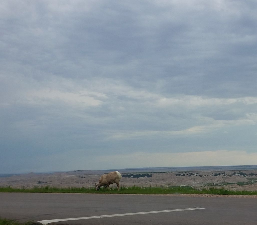D3-6%20Badlands.jpg