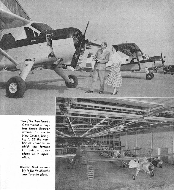 Beaver-aircraft.jpg