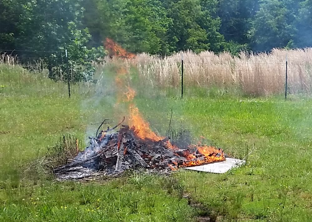 Burn.jpg