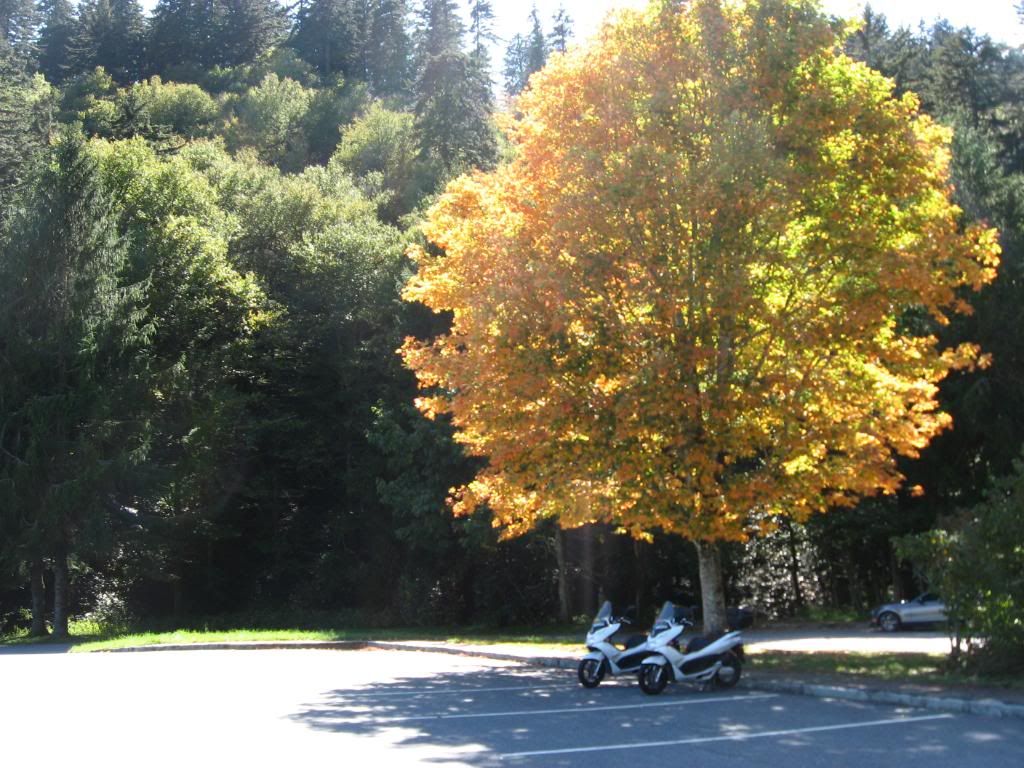 SMOKIESPCXTRIP9-24-2011021.jpg