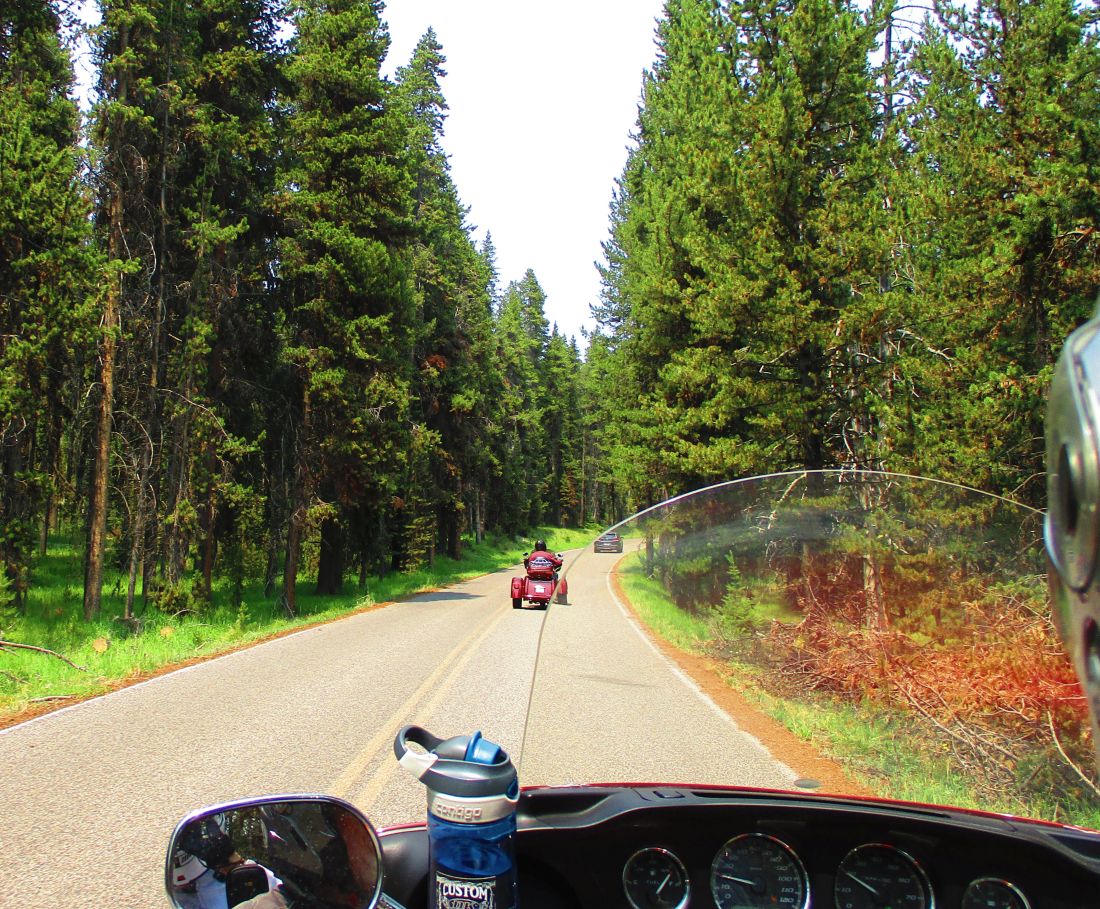 31-evergreen.jpg