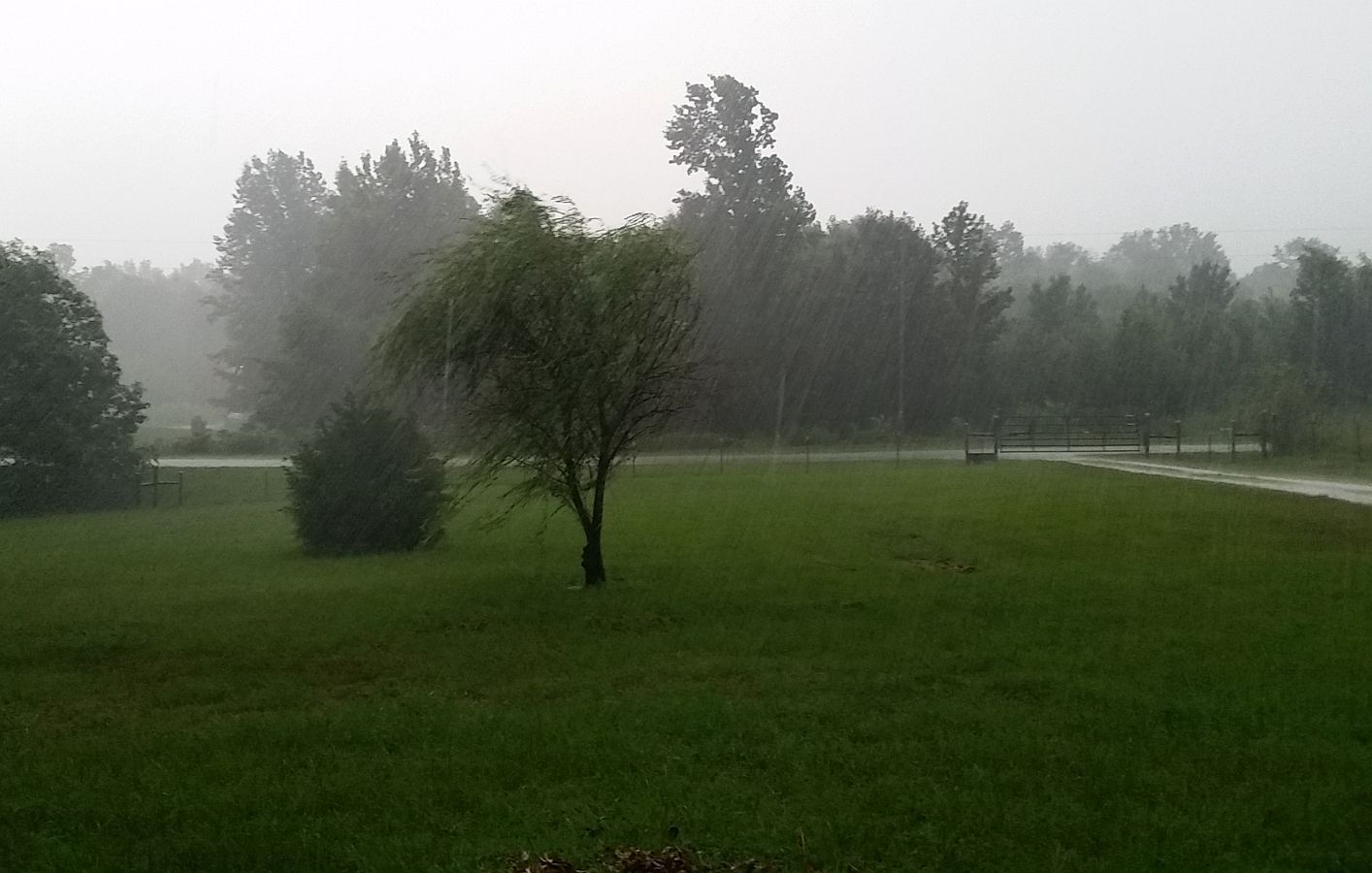 Storm%207-23-17_zpsovrxb659.jpg