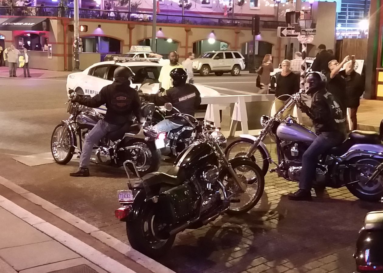 3%20Softails.jpg
