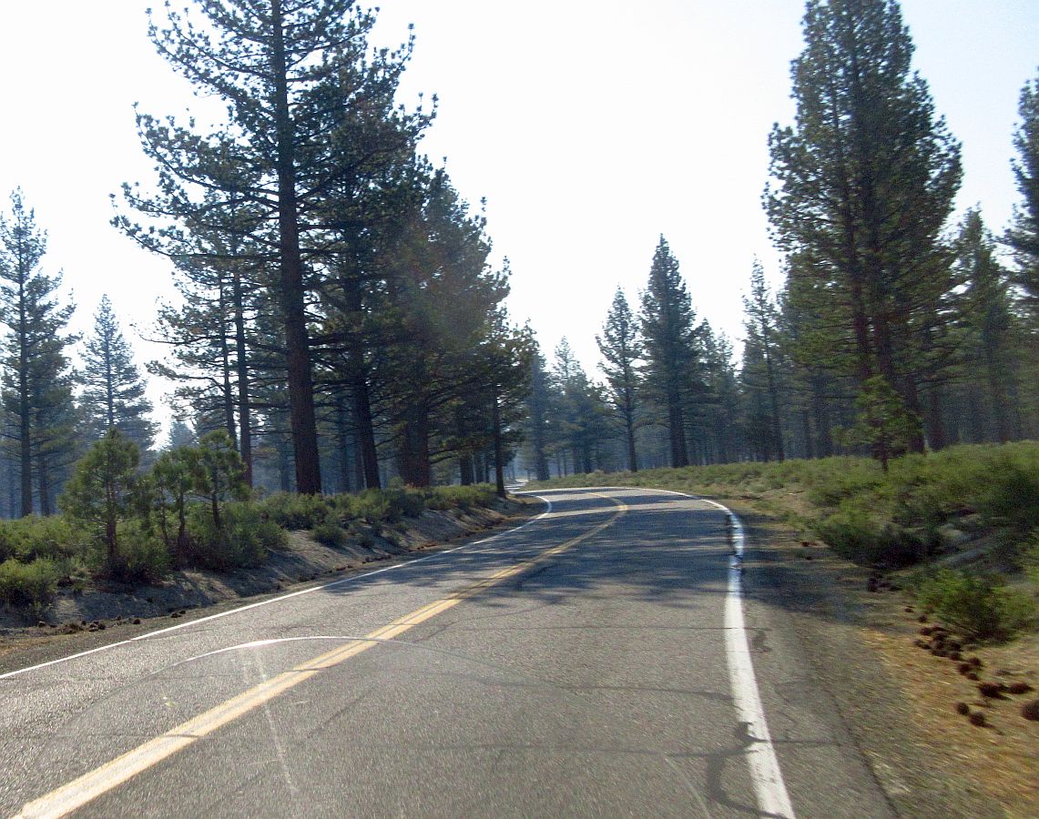 6-pines.jpg