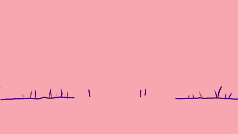 TVU6cuoE_o.gif