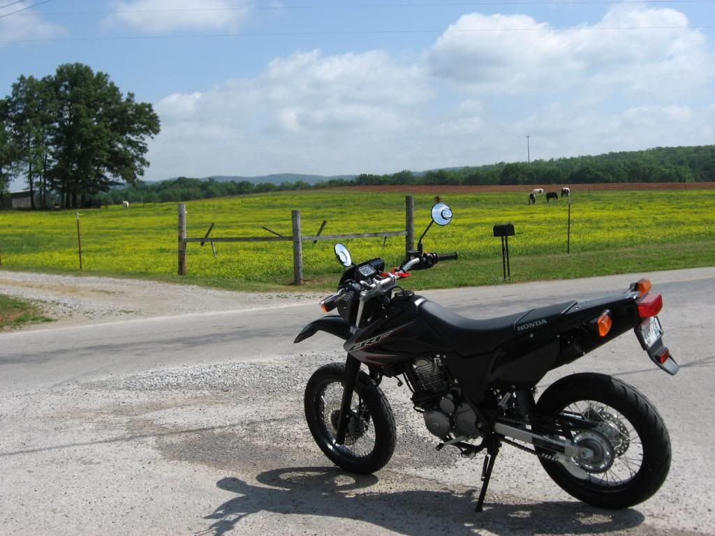 MOTARD1stRIDE012.jpg