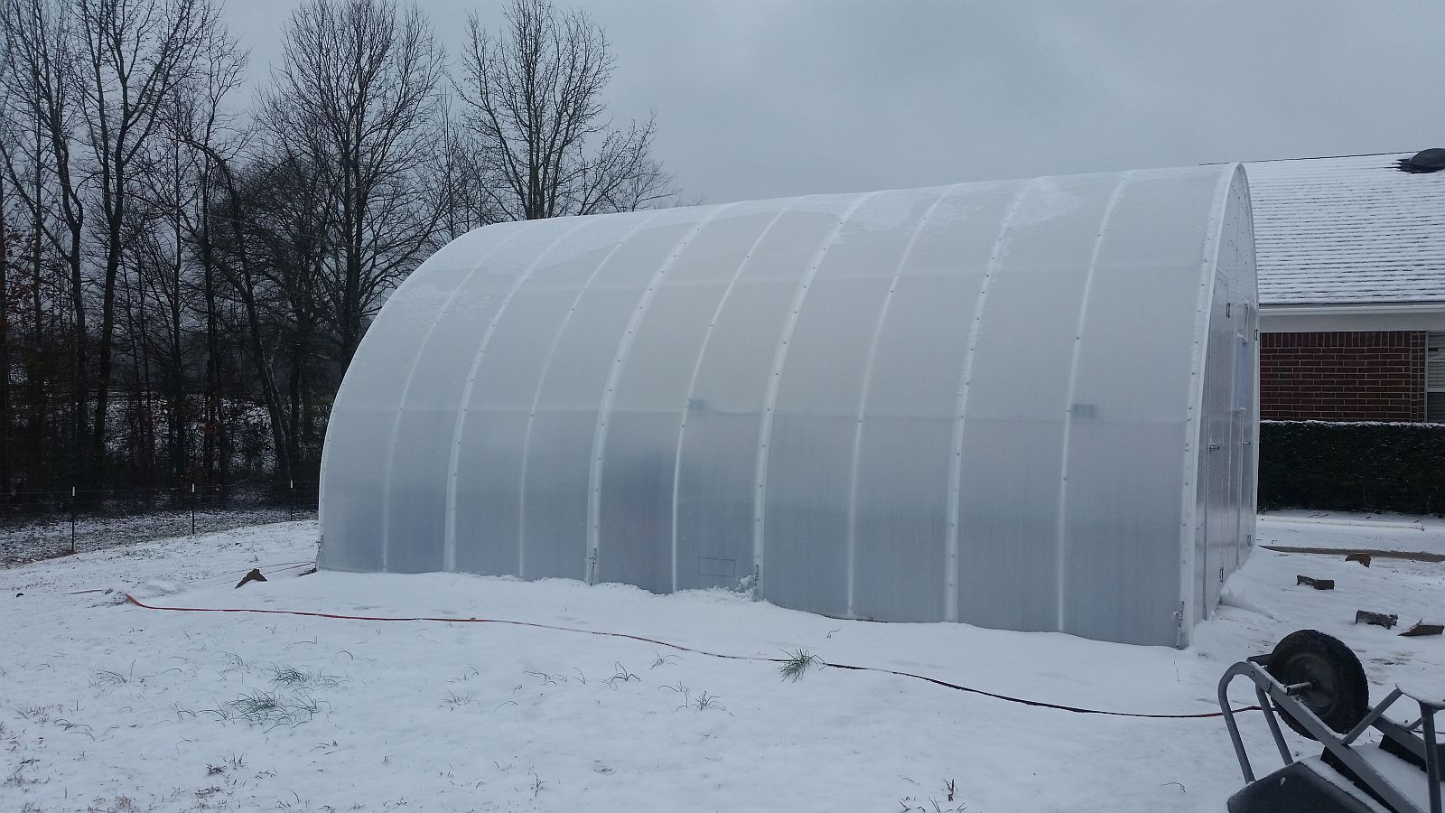 Greenhouse%201-22-16_zpsd3igz8bw.jpg