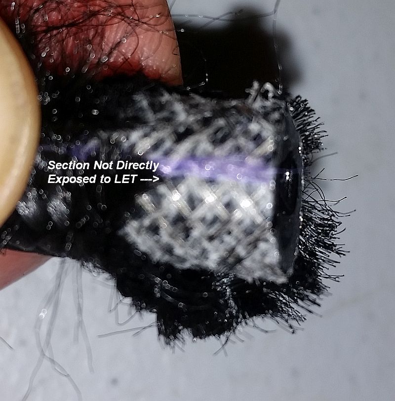 Not%20Exposed%20to%20LET.jpg