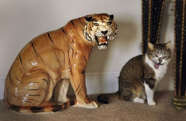 people_making_a_mockery_of_statues_640_10.jpg