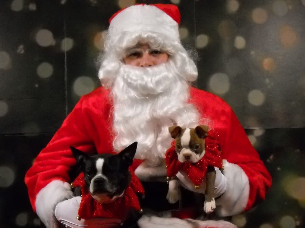 Firstxmas.jpg
