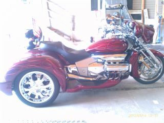 IMAG0294.jpg