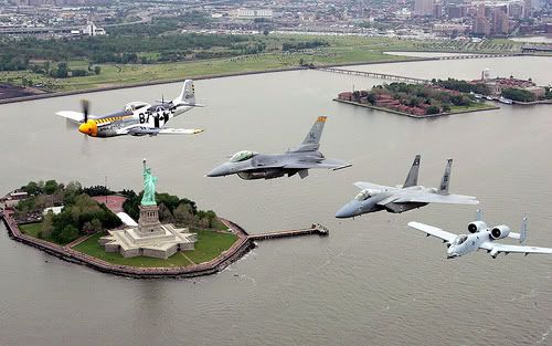BaldEagleHeritageFlight.jpg