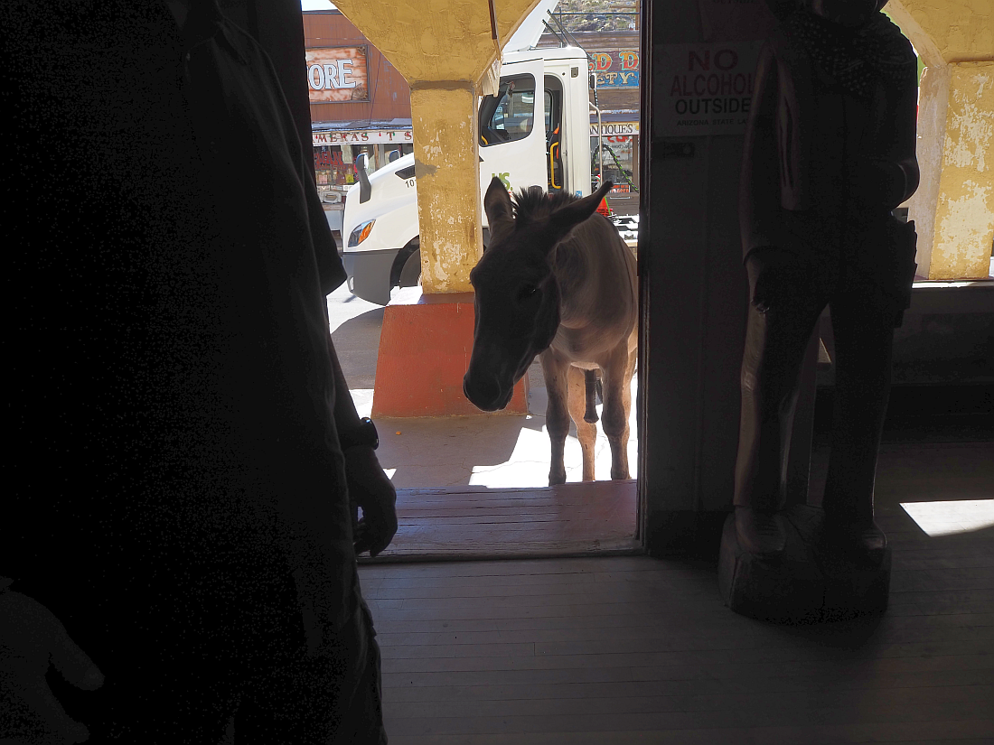 109-burro%20wants%20in.png
