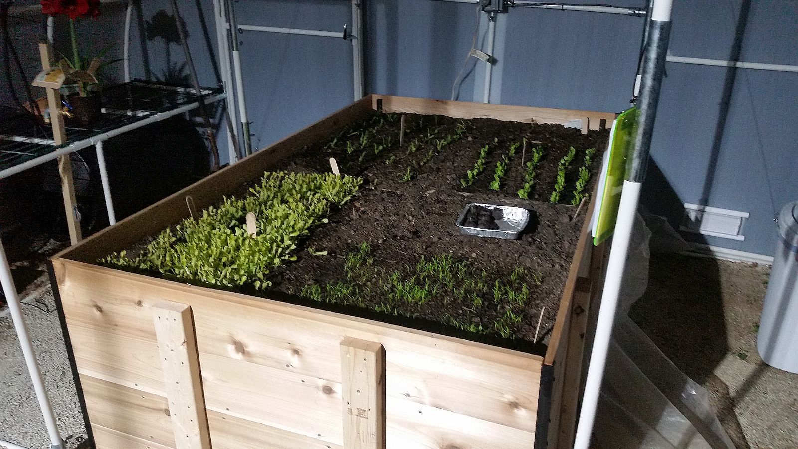 Greenhouse%202-3-16_zps3vg49mu1.jpg