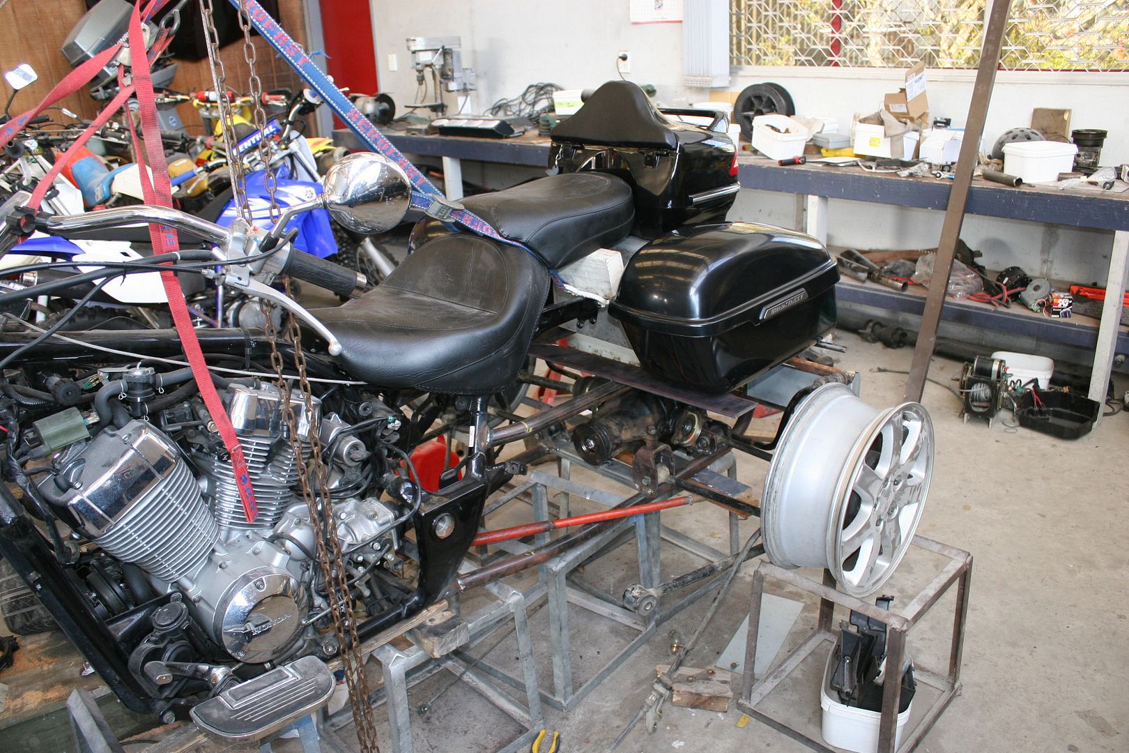 IMG_6421.jpg