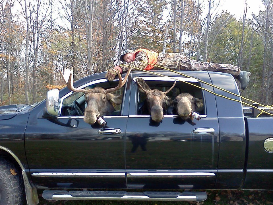 MooseHunting_zps5d4826ee.jpg