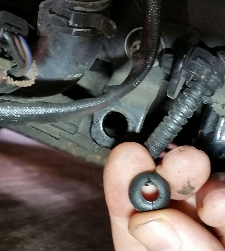 New%20Grommet.jpg